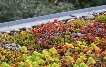 the cost of Quoditch green roof installation