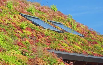 Quoditch living roof systems