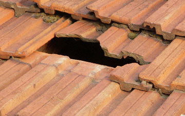 roof repair Quoditch, Devon